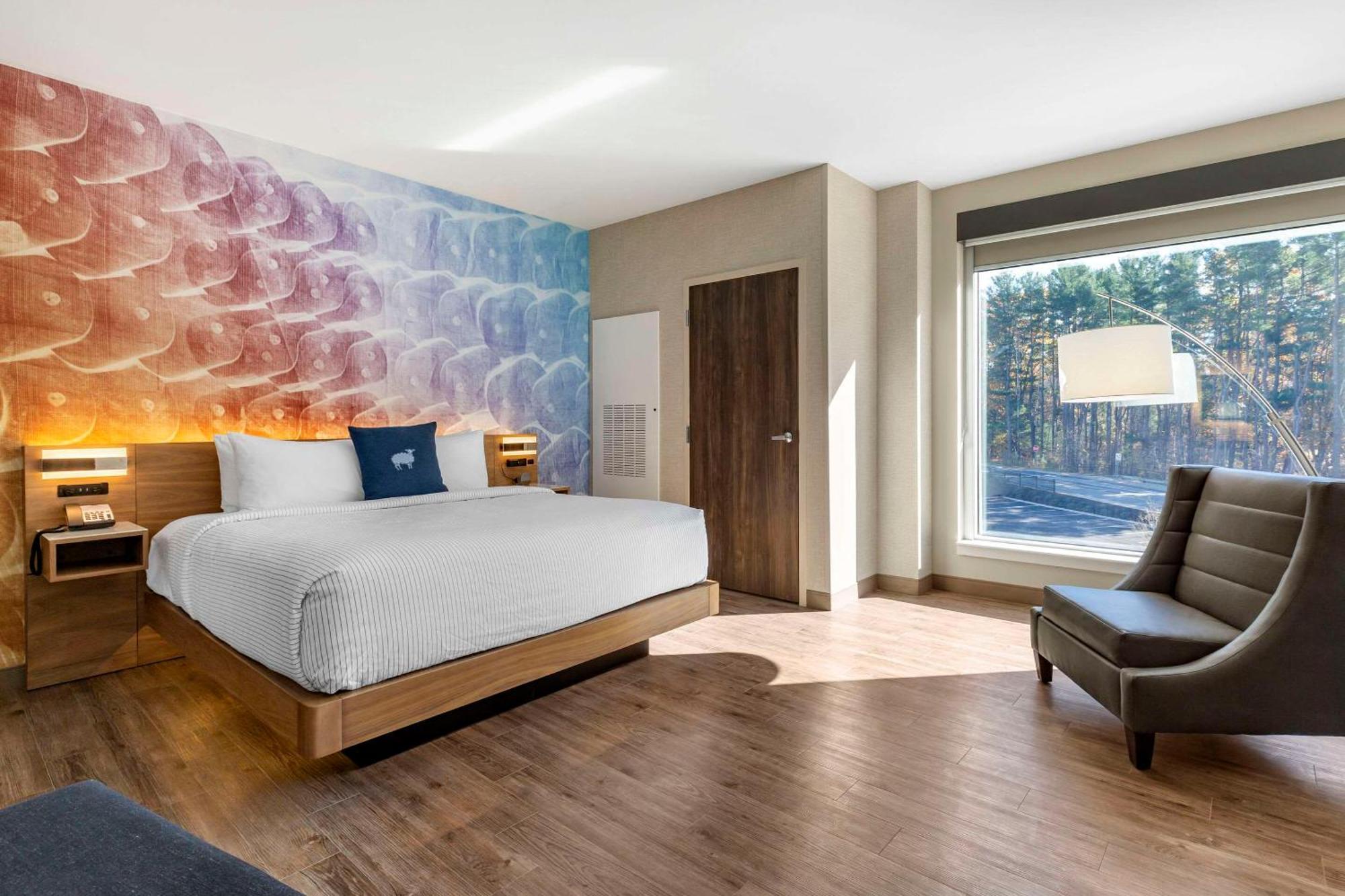 Cambria Hotel Manchester South Windsor Экстерьер фото